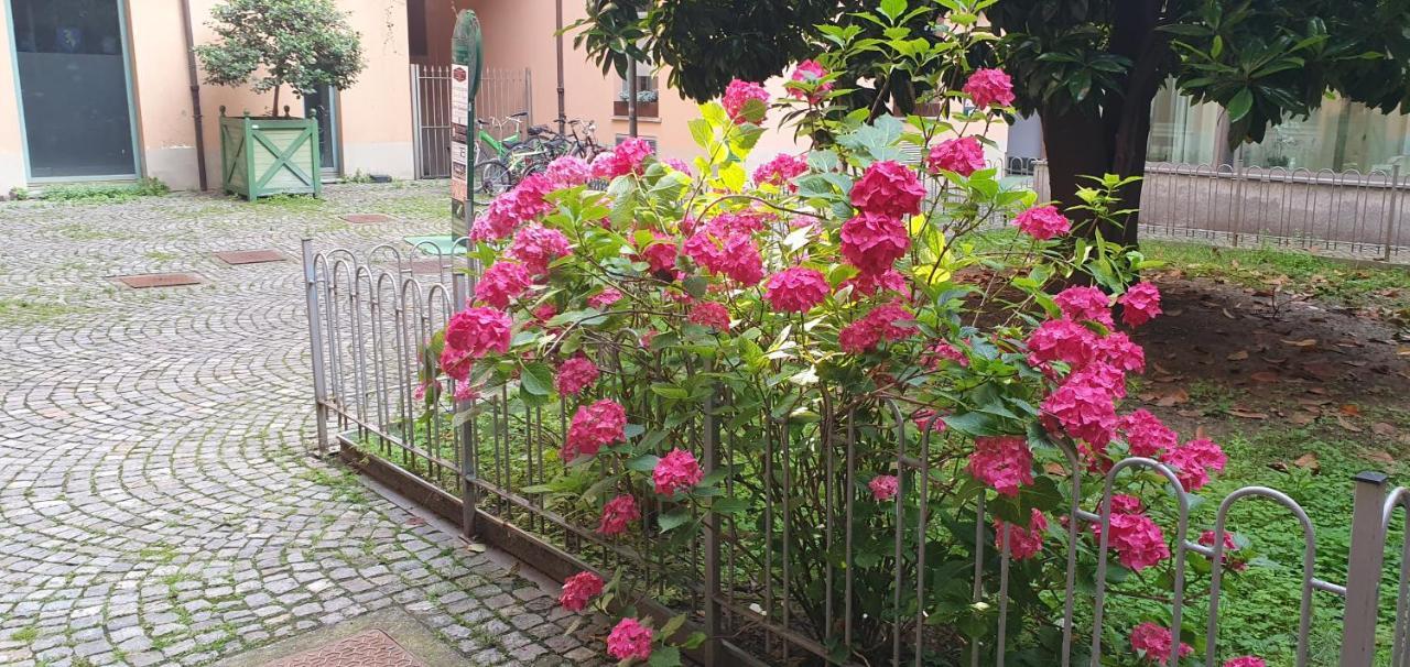 Central Loft Carina Ideale Per Visitare Il Centro Di Torino エクステリア 写真